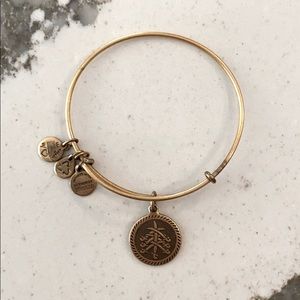 Alex and Ani Charm Bangle